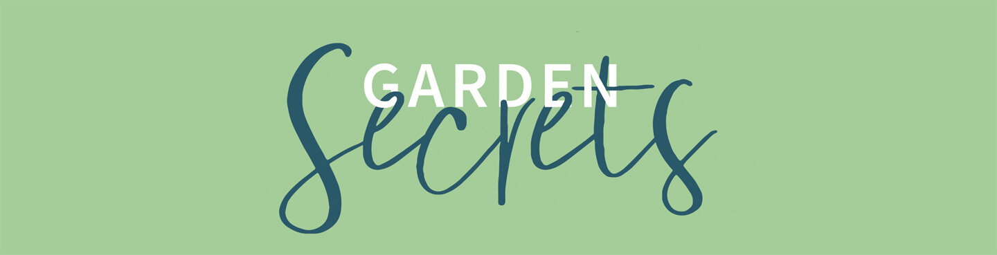 Blog: Garden Secrets