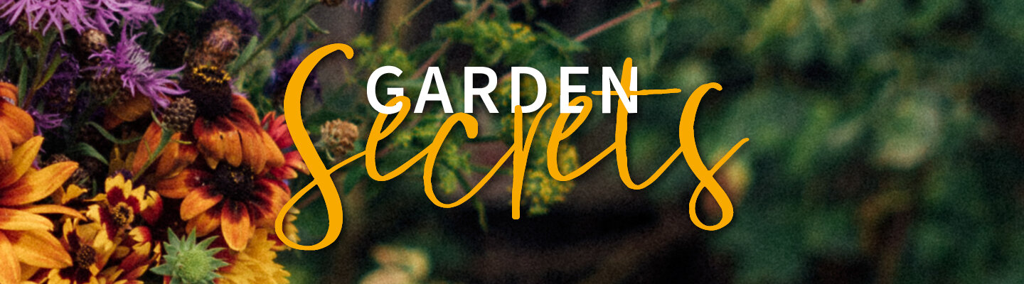 Blog: Garden Secrets