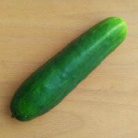 Cucumber Marketmore’ (Cucumis sativus) organic seeds