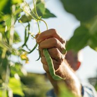 Magical Time – Organic seed Advent Calendar – Grow-Your-Own Garden Feast