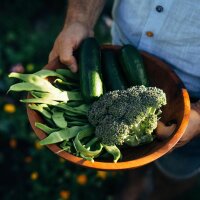 Magical Time – Organic seed Advent Calendar – Grow-Your-Own Garden Feast