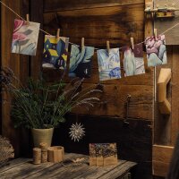 Magical Time – Organic seed Advent Calendar – Grow-Your-Own Garden Feast