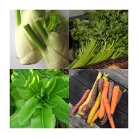 Bunny Vegetable for Human & Animal (Organic) - Seed Set