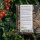 Our Favourite Plants: Something of Everything (Organic) – Seed Kit Gift Box