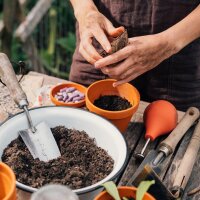 Our Favourite Plants: Mediterranean Vegetables for Grow-Your-Own Gardeners (Organic) – Seed Kit Gift Box