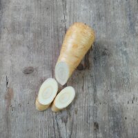 Parsnip Half-length (Pastinaca sativa) seeds