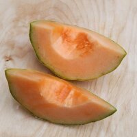 Cantaloupe Melon Charentais (Cucumis melo) seeds