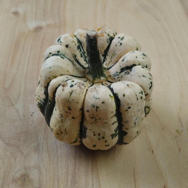 Dumpling Squash Sweet Dumpling (Cucurbita pepo) seeds