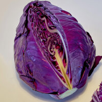 Red Pointed Cabbage Kalibos (Brassica oleracea var....