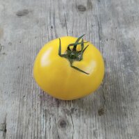 Tomato Sorbet De Citron (Solanum lycopersicum) seeds