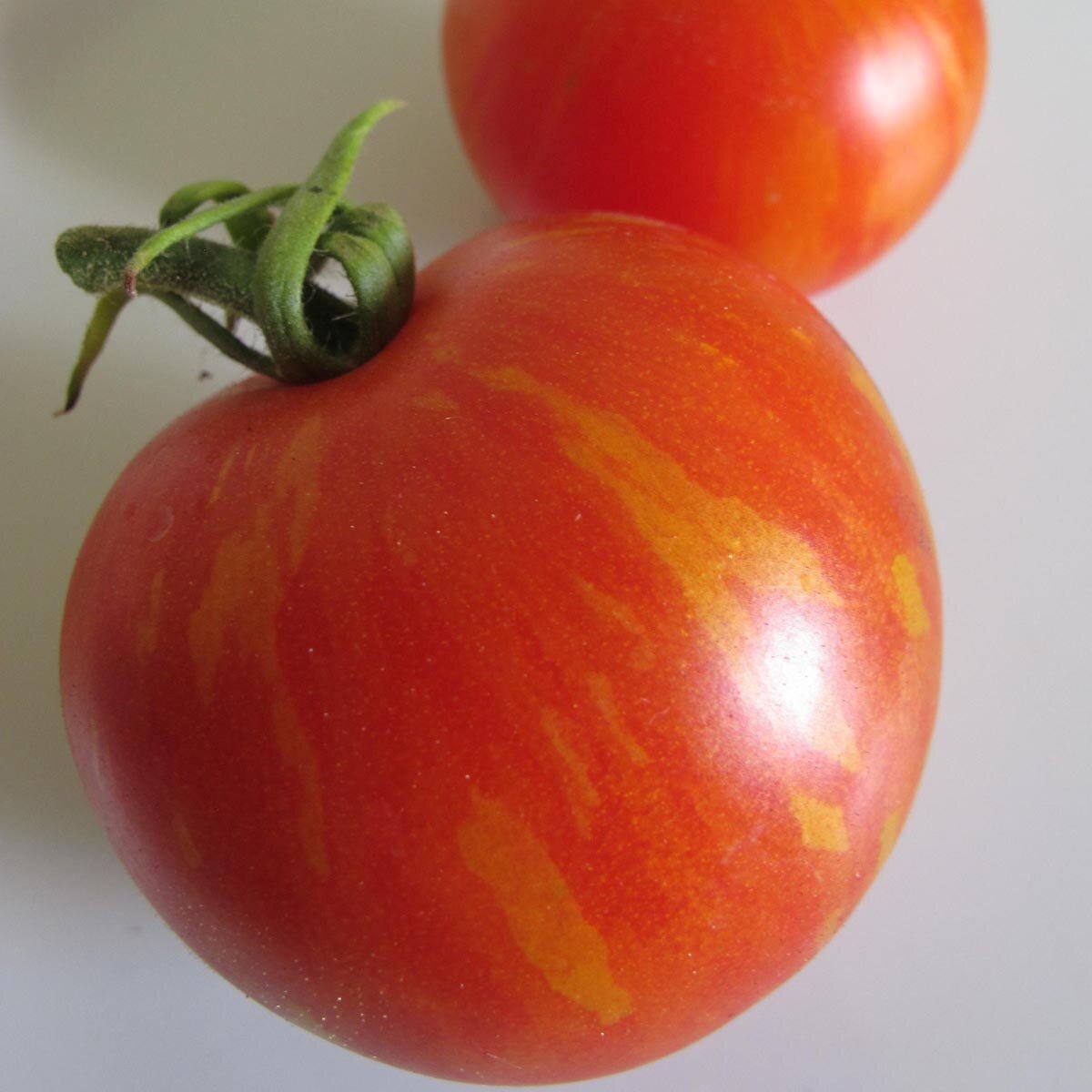 Tomato 'Tiger Tom' (Solanum lycopersicum) seeds