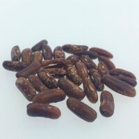 Bush Bean Saxa (Phaseolus vulgaris) organic seeds
