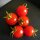 Cherry Tomato Zuckertraube (Solanum lycopersicum) organic seeds