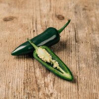 Serrano Pepper (Capsicum anuum)