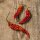 Bhut Jolokia Pepper (Capsicum chinense) seeds