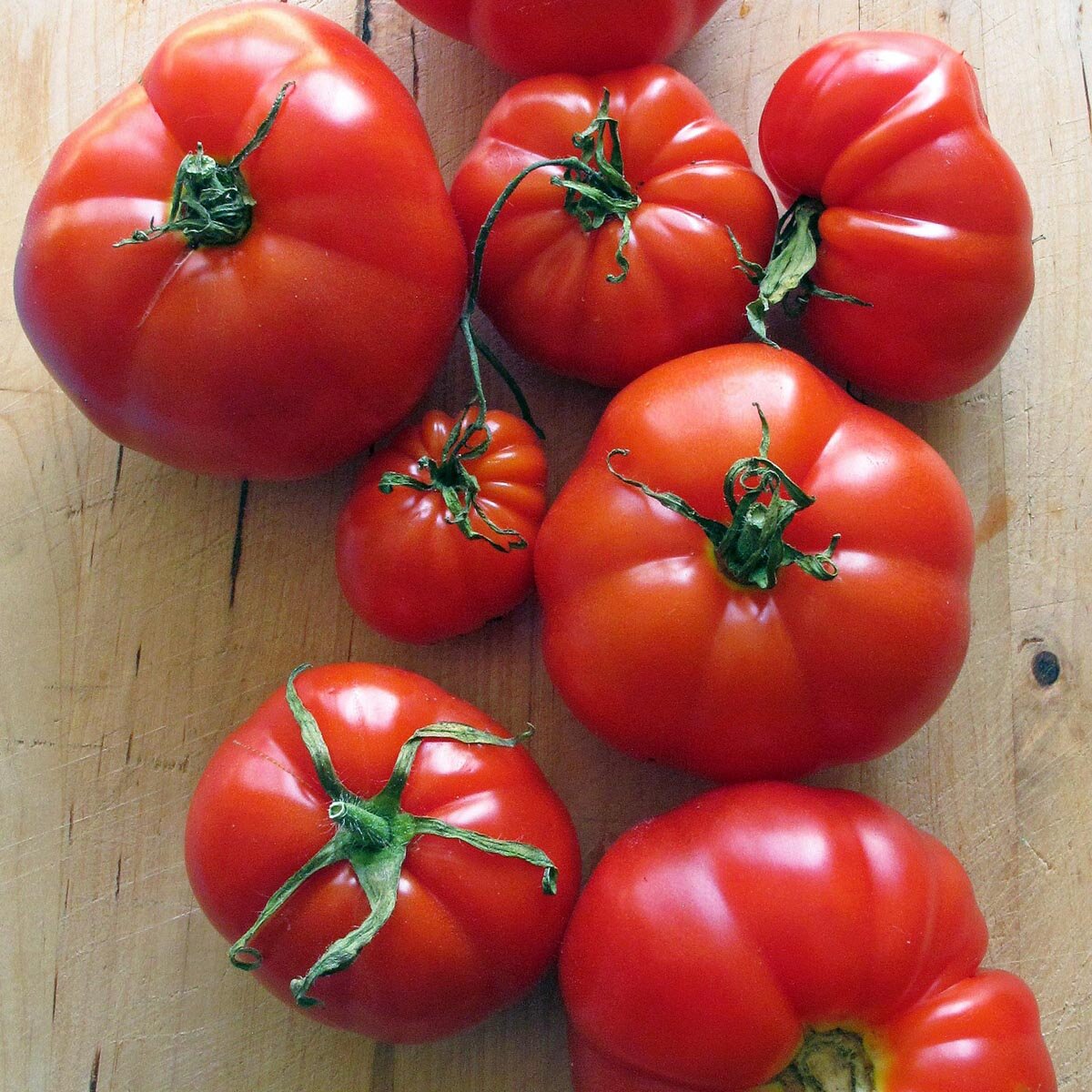 Beefsteak Tomato 'Marmande' (Solanum lycopersicum) seeds