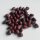 Azuki Bean (Vigna angularis) seeds