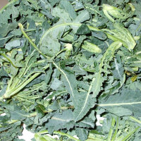 Broccolo Fiolaro (Brassica oleracea var. Italica) organic