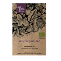 Broccolo Fiolaro (Brassica oleracea var. Italica) organic