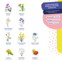 Dried Flowers - 10 open pollinated flower varieties - lasting & beautiful - Beginner seed kit