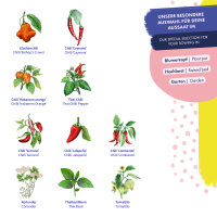 Chillis & Friends - 10 open pollinated Chilli & Herb varieties - exotic & fiery - Beginner seed kit