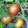 Tomato Tschernij Prince (Solanum lycopersicum)  seeds