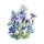 Blue Summer Flowers (different varieties)