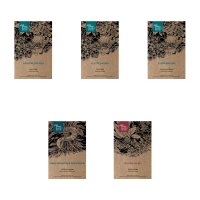 Summer Meadow Flowers - Seed kit gift box