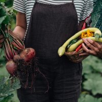 Climbing Vegetables  - Seed kit gift box