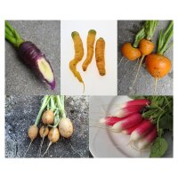 Good Companion Plants; Carrots & Radishes - Seed kit gift box