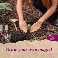 Magical & Shamanic Plants - Seed Kit