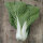 Cabbage Rarities - Seed kit gift box