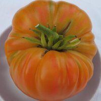 Tomato Old German (Solanum lycopersicum) seeds