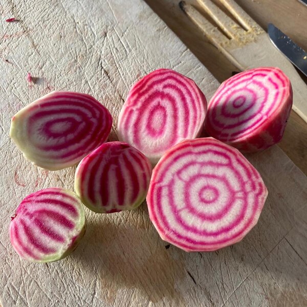 Beetroot Tonda di Chioggia (Beta vulgaris) organic seeds