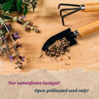 Kitchen Herbs For The Window (Organic) -  Seed kit