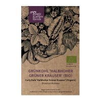 Curly Kale Halbhoher Grüner Krauser (Brassica oleracea) organic seeds